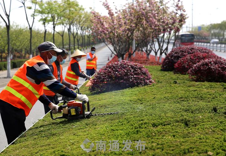 保山城市绿化带种植什么植物好