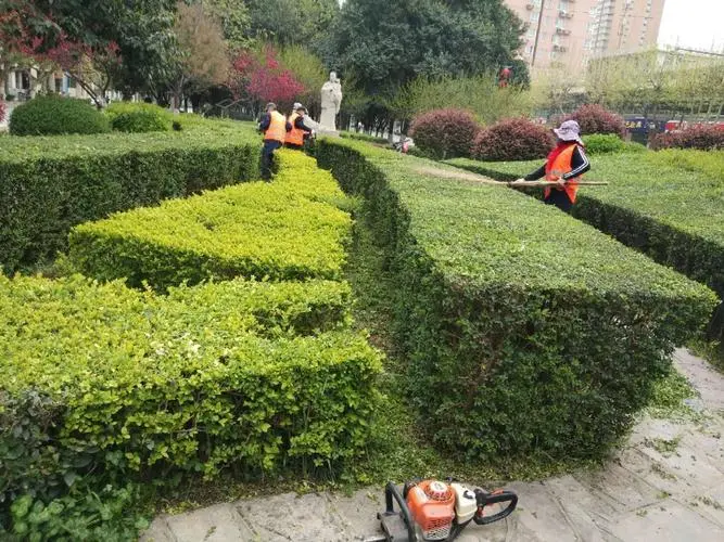 江山绿化苗木基地在哪个城市