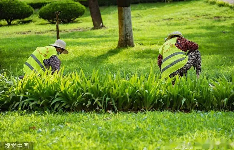 商住小区绿化工程承包合同范本